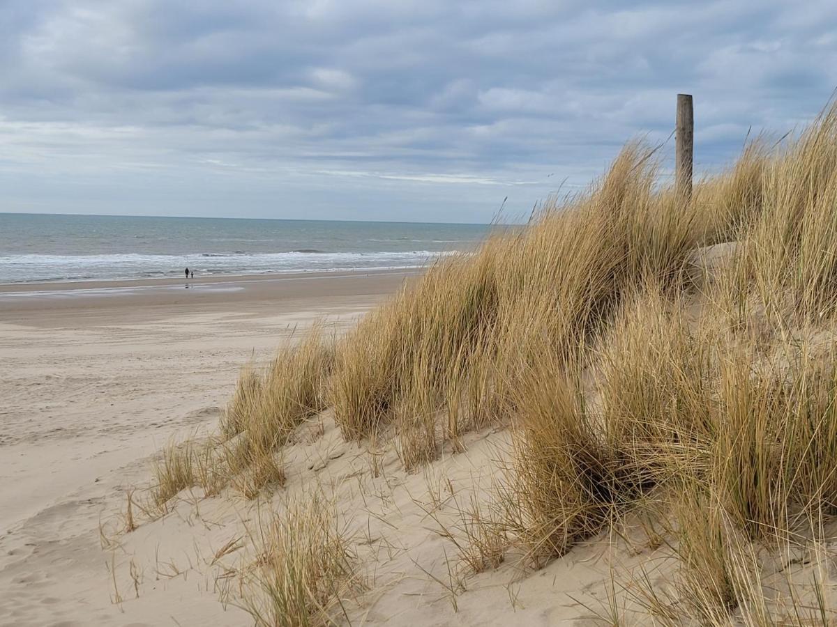 Tiny Villa De Haas Met Infraroodsauna Egmond aan Zee Zewnętrze zdjęcie