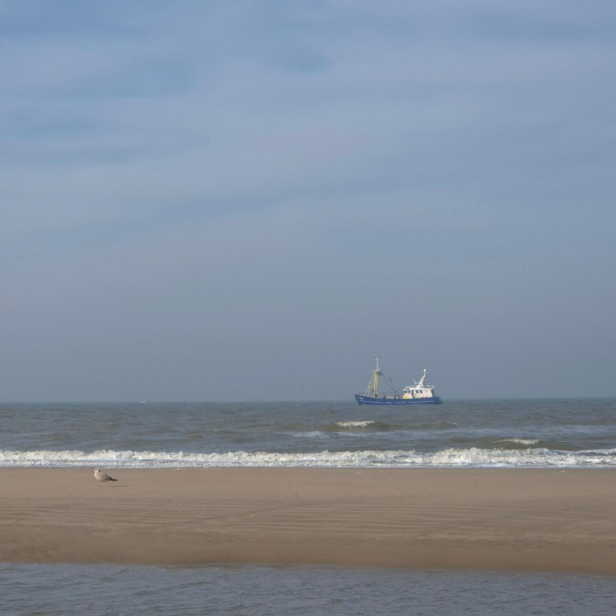 Tiny Villa De Haas Met Infraroodsauna Egmond aan Zee Zewnętrze zdjęcie
